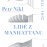 Petr Nikl LIDE Z MANHATTANU pozvanka newsletter